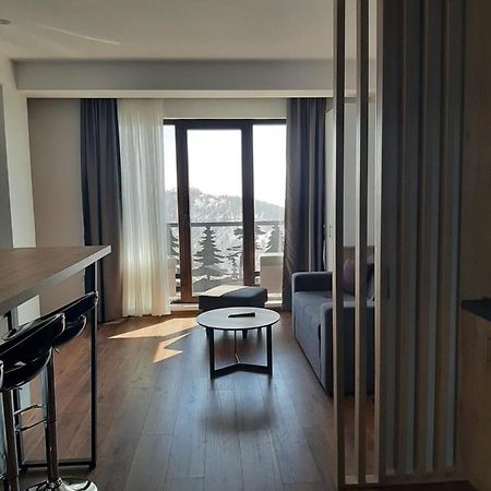 Vihor A21 Apartment Kopaonik Exterior photo