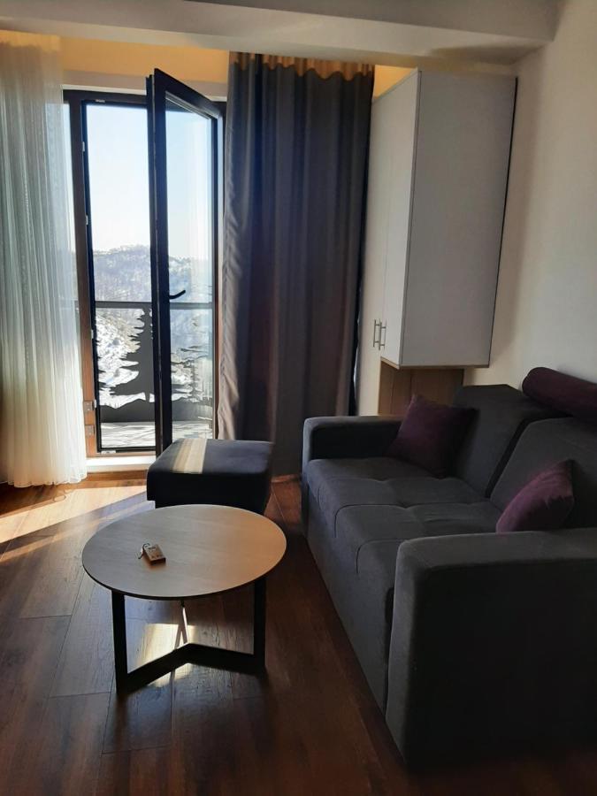 Vihor A21 Apartment Kopaonik Exterior photo